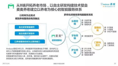2017年中國互聯網居家養老服務專題分析 個人互聯網服務的新藍海